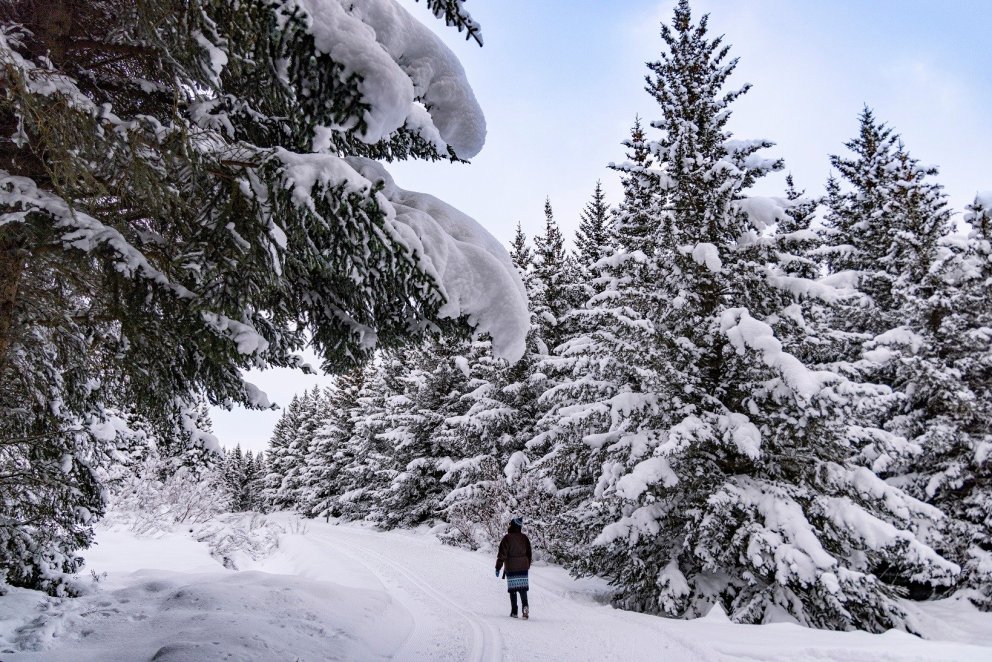 Photo: María H. Tryggvadóttir