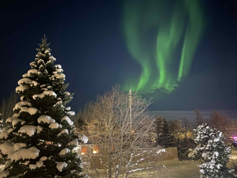 Photo: María H. Tryggvadóttir