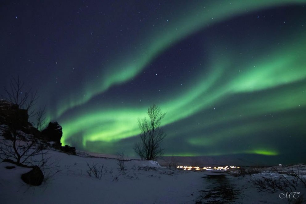 Photo: María Tryggvadóttir