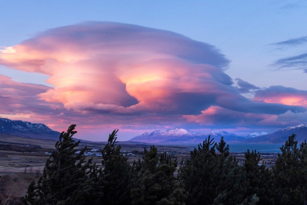 Photo: María H. Tryggvadóttir