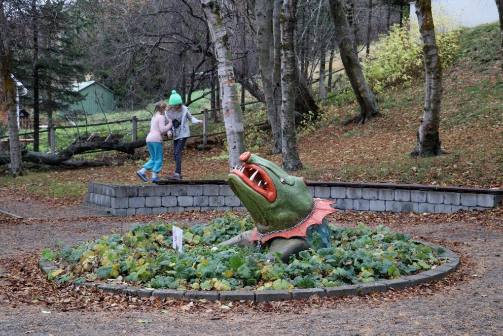 Photo: Akureyri Museum garden, by María H. Tryggvadóttir