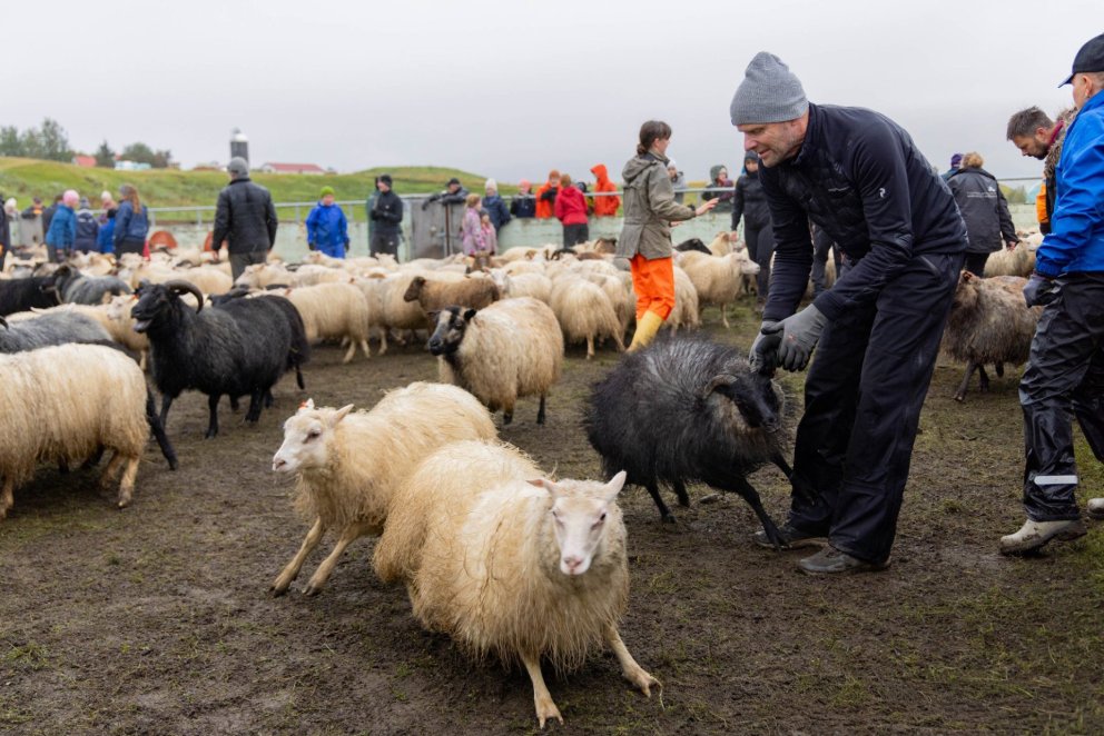 Photo: María H. Tryggvadóttir