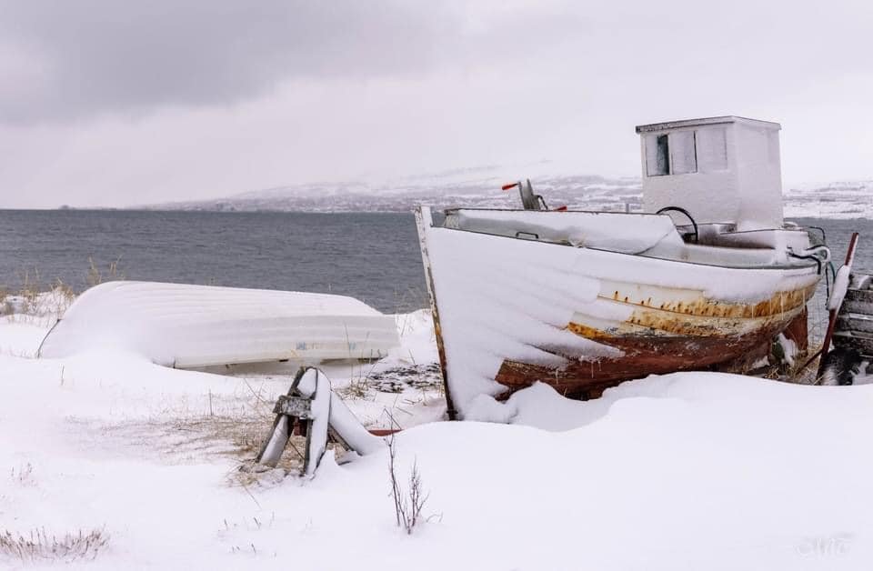 Photo: María Tryggvadóttir