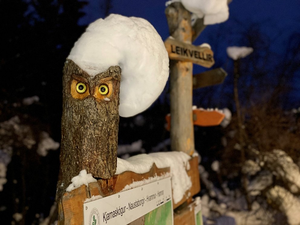 Photo: María H. Tryggvadóttir