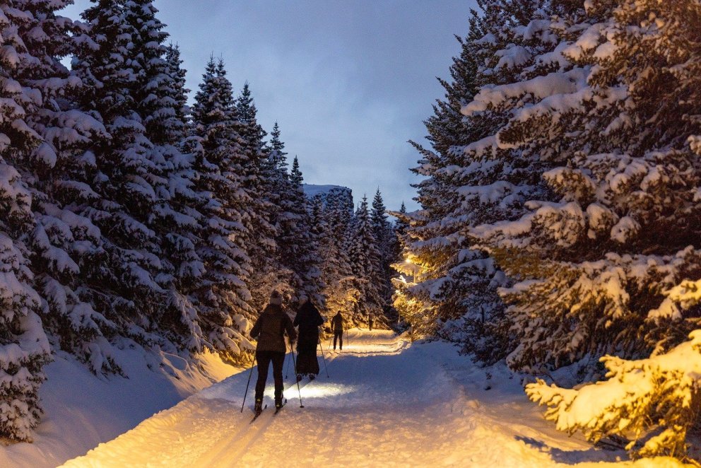 Mynd: María H. Tryggvadóttir