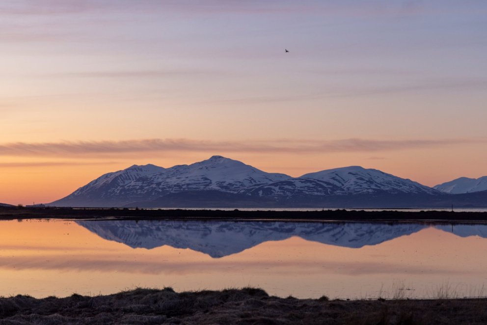 Photo: María H. Tryggvadóttir